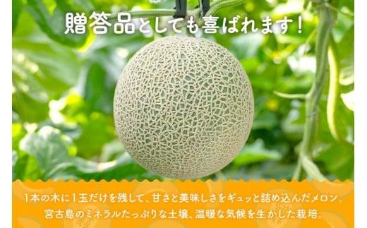 ＜先行受付＞【8farm】宮古島産てぃだメロン2玉（3.8kg以上）《2026年12月～2027年1月発送》（JC009）