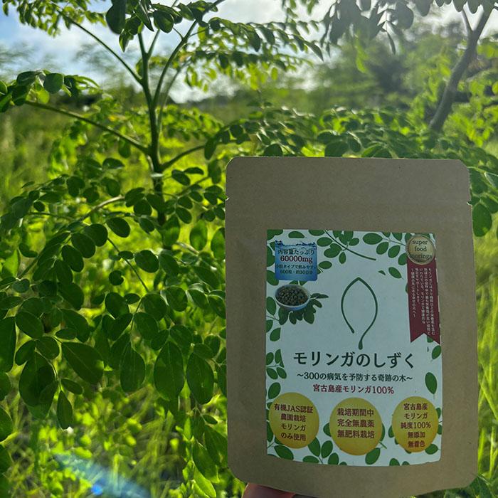 【定期便3回】モリンガのしずく― 宮古島産100％モリンガ ―＜４ヶ月に1回＞（MO03）