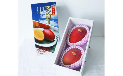 《先行予約》宮古島産 マンゴーセット｜アーウィン＆キーツ｜フルーツ定期便 全2回＜琉球マルシェ＞