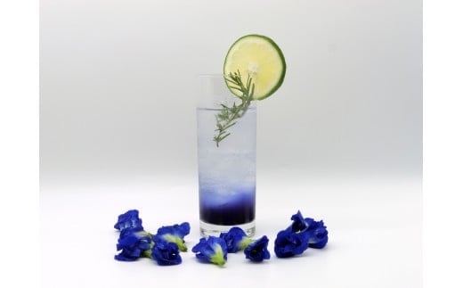 【宮古島のクラフトコーラ飲み比べ】ミヤココーラ≪オリジナル＆ブルー≫(JN004)