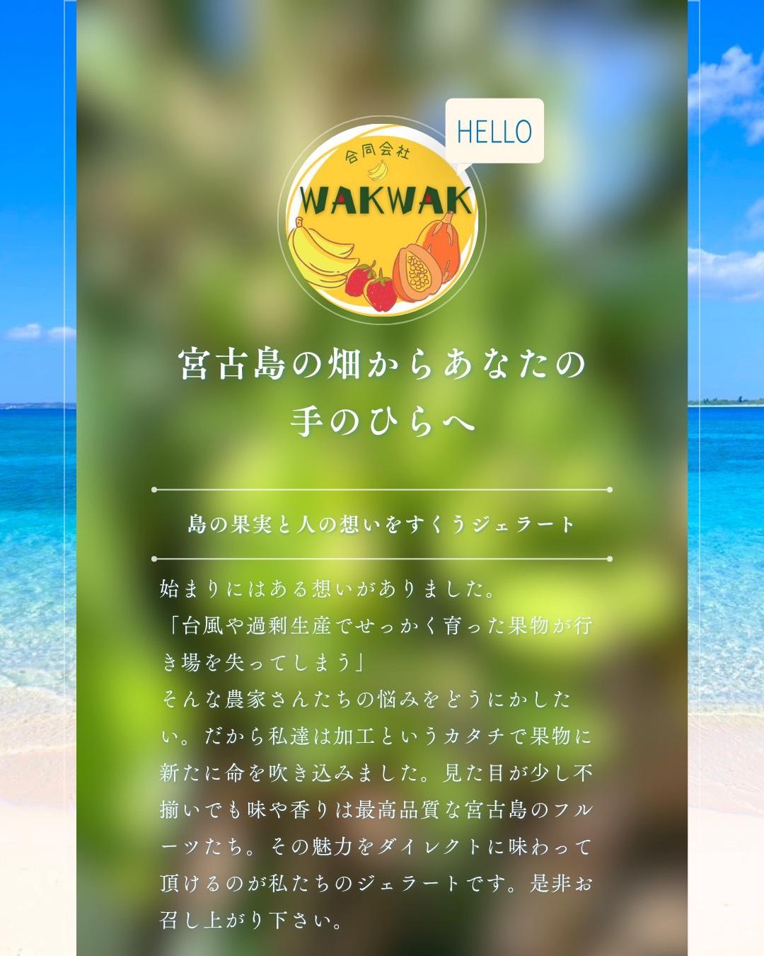 【宮古島産フルーツ使用】宮古島ジェラート 贅沢6種食べ比べセット（WK01）