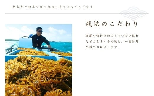 養殖もずく　5個セット（FU002）沖縄 宮古島 ふるさと納税 おすすめ 人気 もずく モズク 海藻 ミネラル 海 食