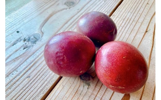 【2025年12月発送】宮古島産パッションフルーツのフォンダンショコラ 3個入り