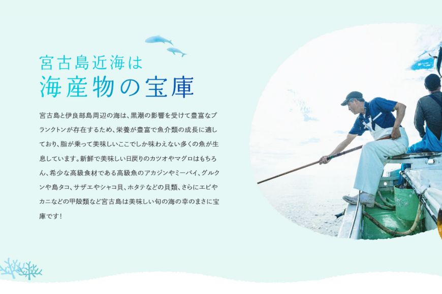 AD105 ＜浜口水産＞ 旨味、超絶。花かつお とびだい（約100g×3袋）｜鰹 カツオ 鰹節 削り節 出汁 沖縄県 宮古島市 伊良部島 人気 おすすめ 送料無料