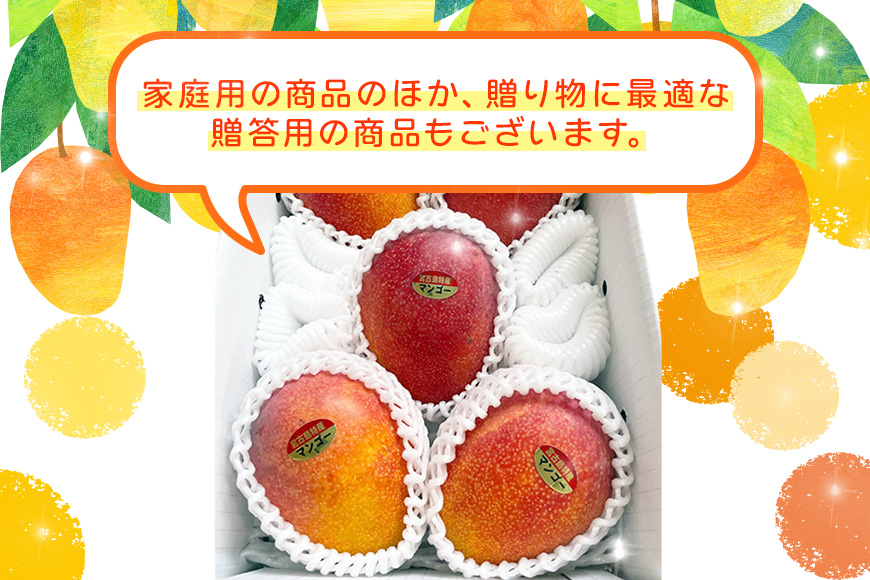 JH003《先行予約 2026年発送》宮古島産マンゴー（1kg×定期便2回）【（株）フラモン】