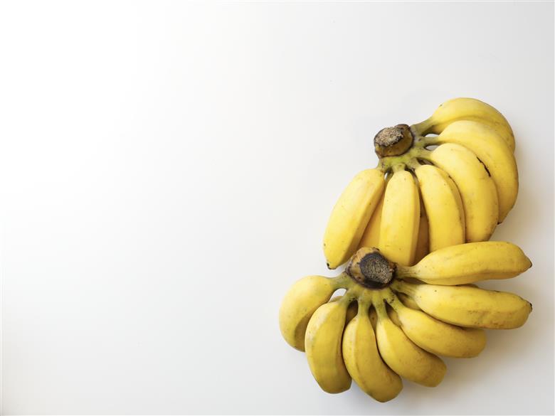 JH023　宮古島 旬の南国フルーツ 定期便【(株)フラモン】