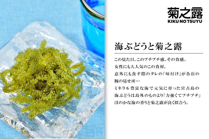 菊之露　一升瓶　30度