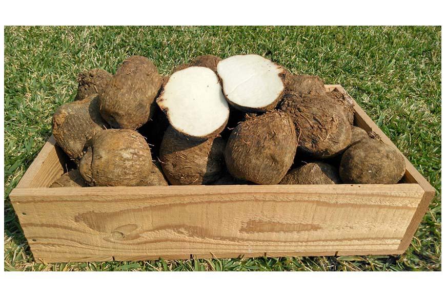 ヤム芋焼酎ずみ　ミニボトル5本セット