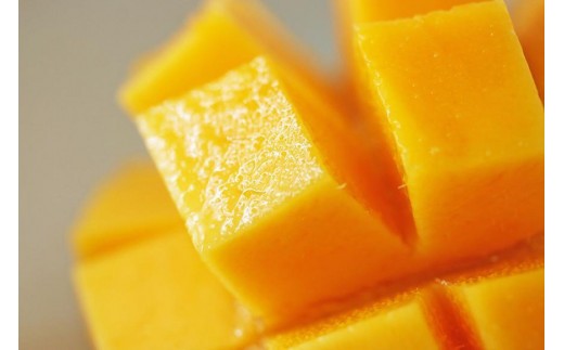 《先行予約》沖縄県宮古島産 減農薬栽培 キーツマンゴー甘濃（かんのう）1玉【琉球マルシェ】