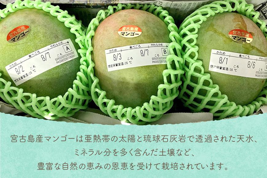 《先行予約 2026年発送》『天使のマンゴー』宮古島産キーツマンゴー《LA MANGUE BLEUE》【ご自宅用】農家直送 1.6kg以上（2個入り）（GZ007）