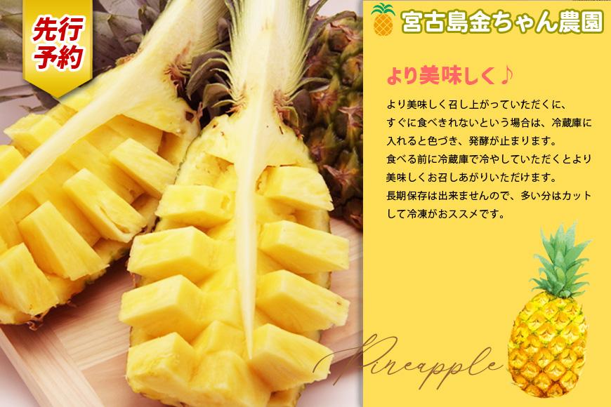《先行予約》【2026年発送】宮古島産ピーチパイン 2kg（3～4個）セット《金ちゃん農園》（AK107）