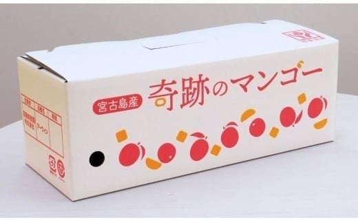 CZ010《先行予約2026年発送》【宮縁果樹園】宮古島産　奇跡のマンゴー　1kg　お手頃