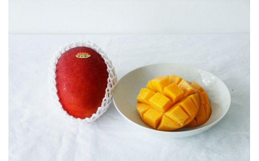 《先行予約》沖縄県宮古島産 減農薬栽培マンゴー 2kg【優品】｜贈答用・糖度14度以上！｜琉球マルシェ