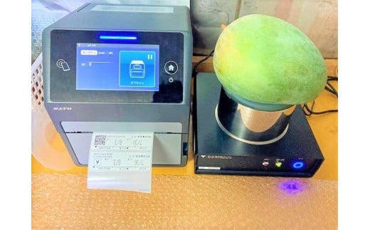 《先行予約 2026年発送》 『天使のマンゴー』宮古島産キーツマンゴー 約800g（1玉）ご贈答用「LA MANGUE BLEUE」農家直送（GZ005）