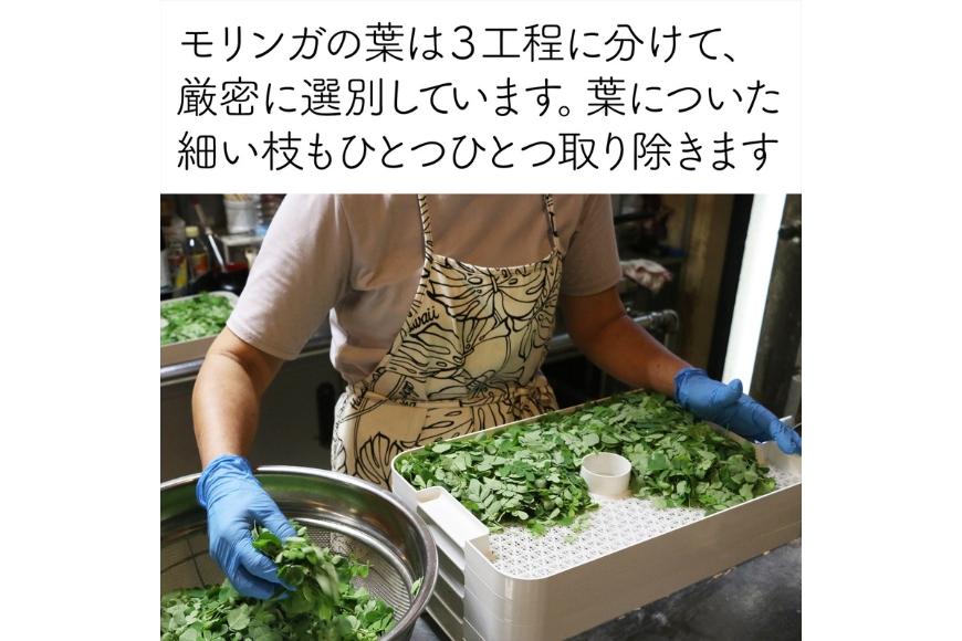 沖縄宮古島産 無農薬モリンガ茶（モリンガティー）