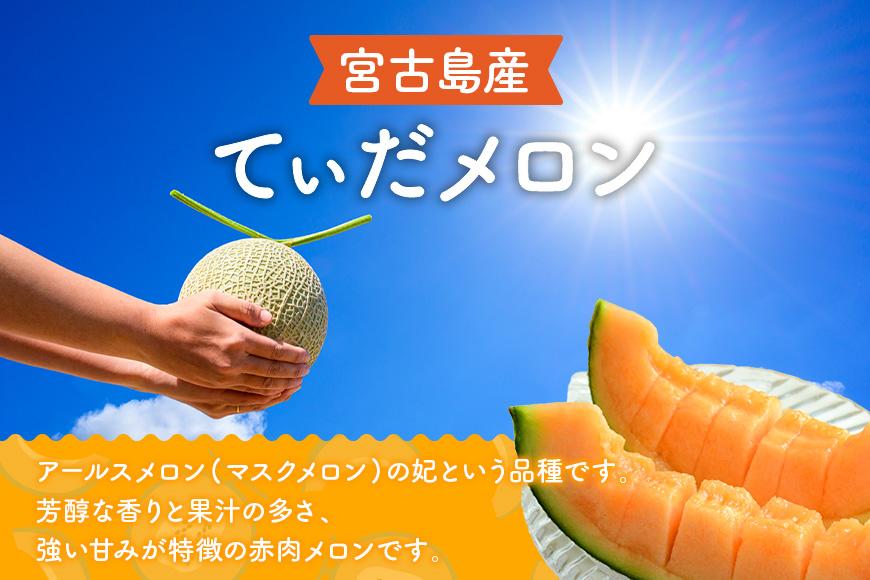 【メロン定期便】宮古島産てぃだメロン 2玉《2025年冬・2026年春発送》＜8farm＞（JC002）