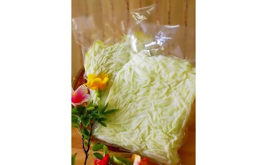 冷凍保存1年可能!! 宮古島産 青パパイヤ しりしり（スライス）5kg