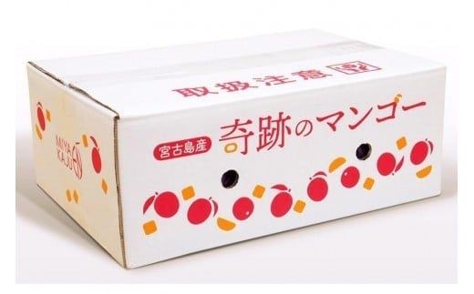 CZ012《先行予約2026年発送》【宮縁果樹園】宮古島産　奇跡のマンゴー　2kg　お手頃