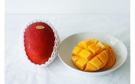 《先行予約》宮古島産 マンゴーセット｜アーウィン＆キーツ｜フルーツ定期便 全2回＜琉球マルシェ＞