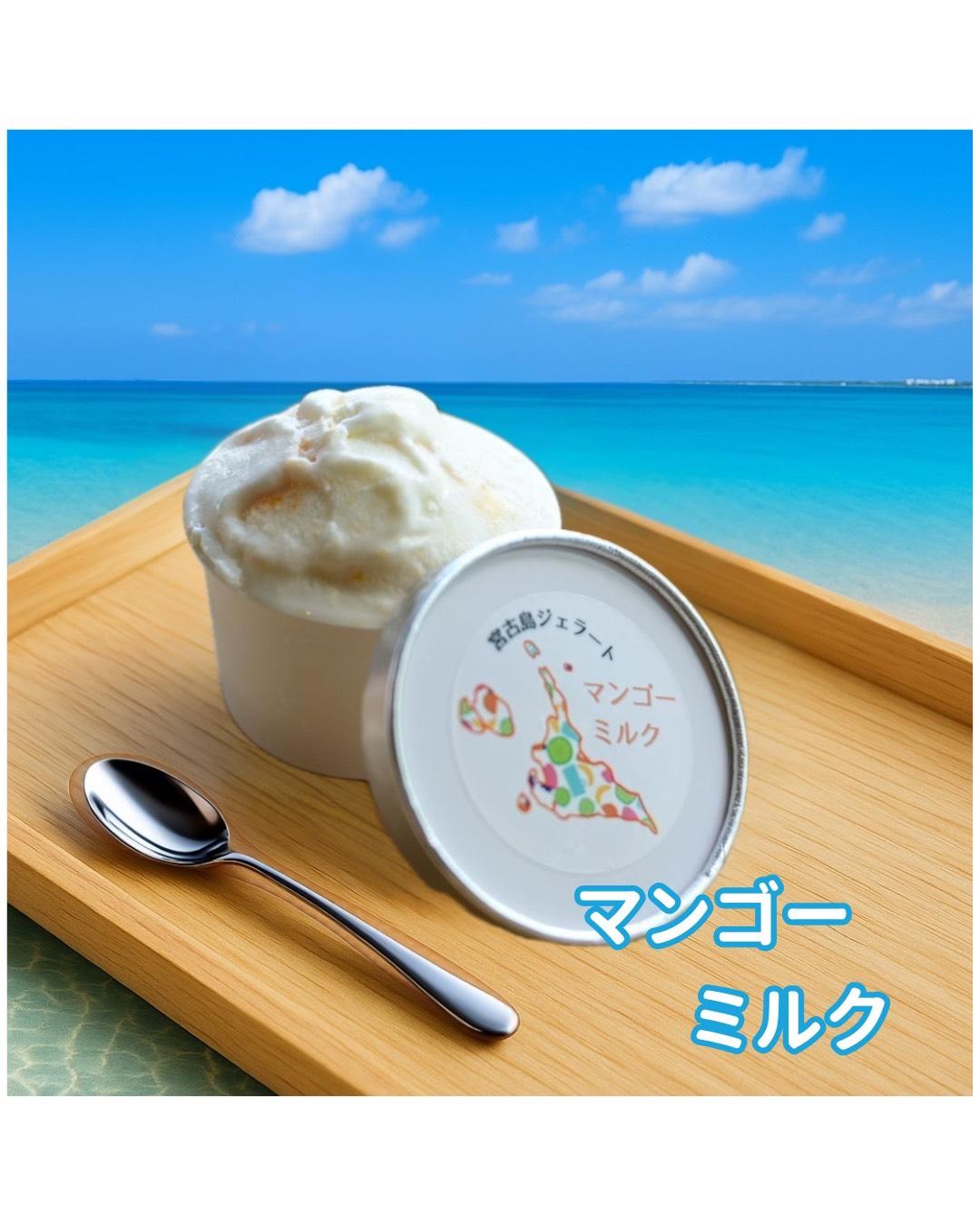 【宮古島産フルーツ使用】宮古島ジェラート 贅沢6種食べ比べセット（WK01）