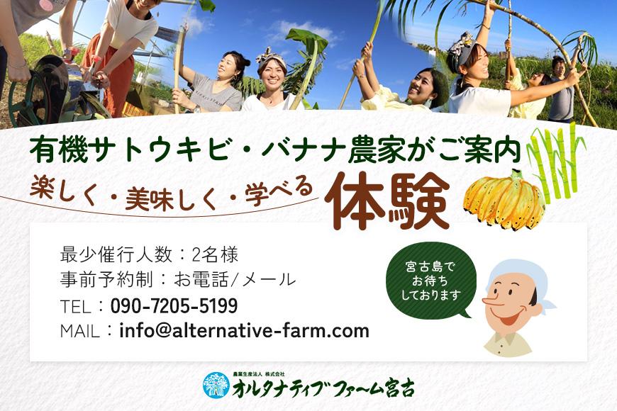 黒糖＆バナナスイーツ作り体験(BJ005)