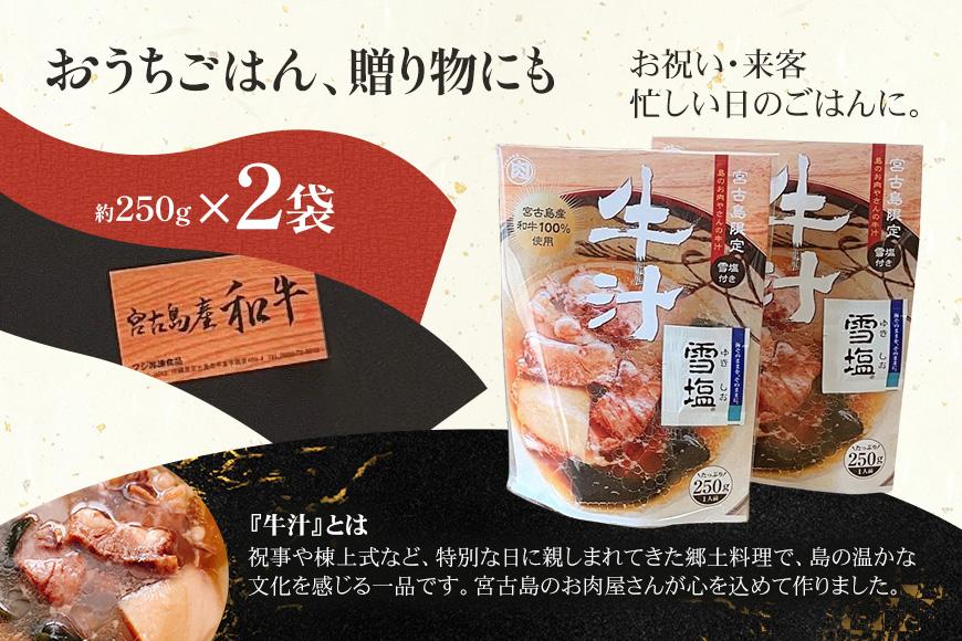 【宮古島産和牛100％】宮古島のお肉屋さんが作った牛汁 ×2袋セット(DK007)