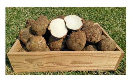 ヤム芋焼酎ずみ　ビンテージタイプ