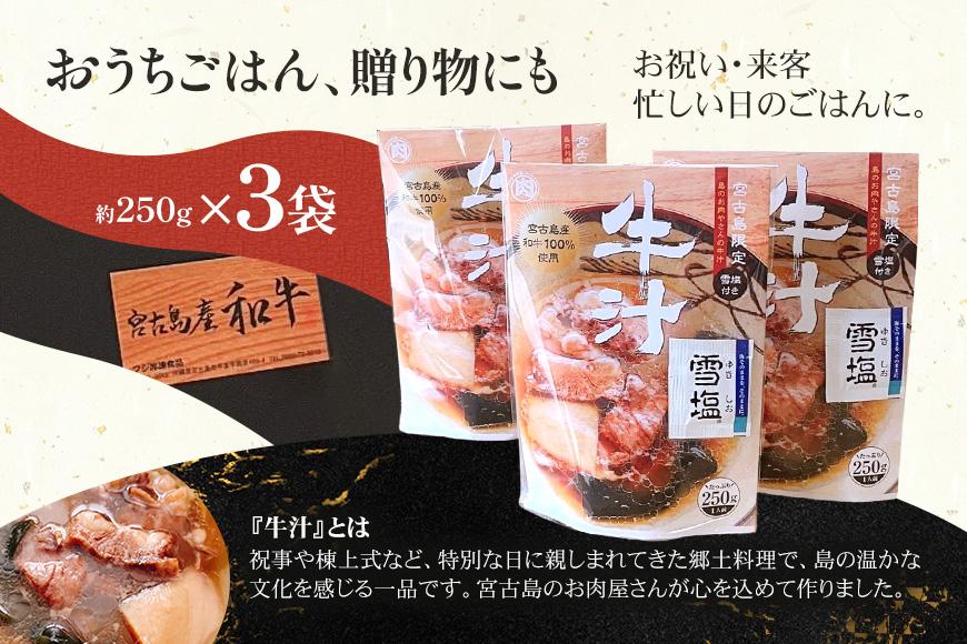 【宮古島産和牛100％】宮古島のお肉屋さんが作った牛汁 ×3袋セット(DK008)