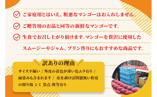 AI003　沖縄県宮古島・完熟マンゴー2kg【ご家庭用】ティダマンゴー宮古島農園