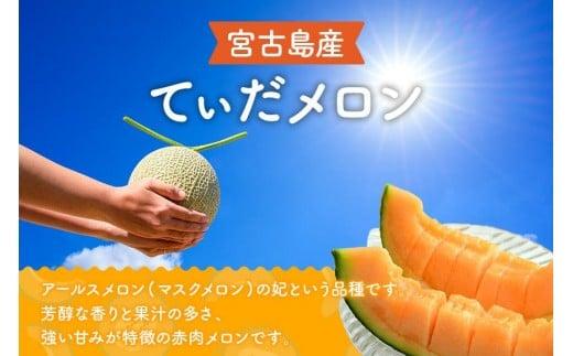 【メロン定期便】＜先行受付＞宮古島産てぃだメロン 2玉《2026年冬・2027年春発送》＜8farm＞（JC007）