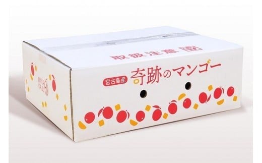 CZ014《先行予約2026年発送》【宮縁果樹園】宮古島産　奇跡のマンゴー　4kg　お手頃