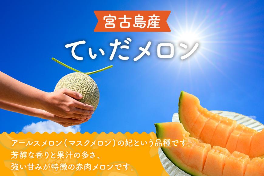 【8farm】宮古島産てぃだメロン1玉（2kg以上）《2025年12月～1月発送》（JC005）