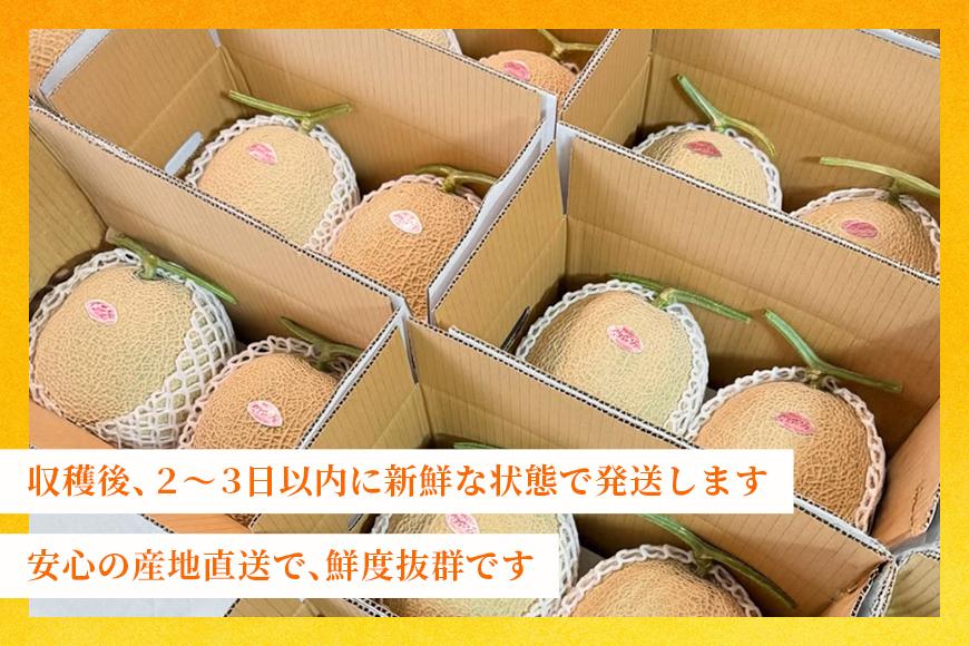 【とみお農園｜農家直送】宮古島産 赤肉メロン 2玉（1玉2kg前後・糖度14度以上）2026年春発送（TN04）