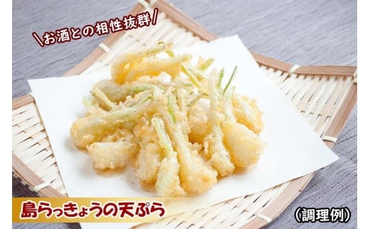 島らっきょう（500g）AZ106