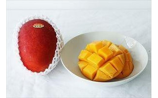 《先行予約》沖縄県宮古島産 減農薬栽培マンゴー 1kg【優品】｜贈答用・糖度14度以上！｜琉球マルシェ