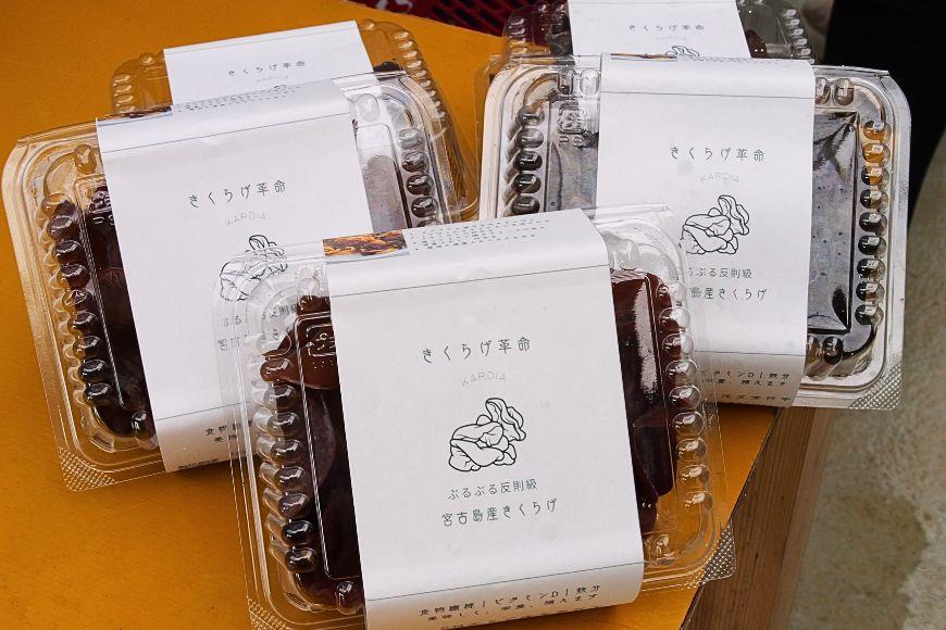 宮古島産生きくらげ（５パック）（KD01）