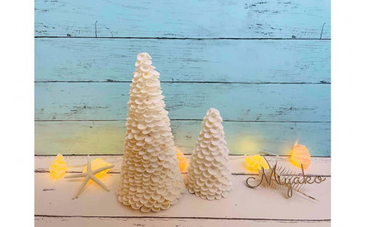 シェルツリーセット【A】