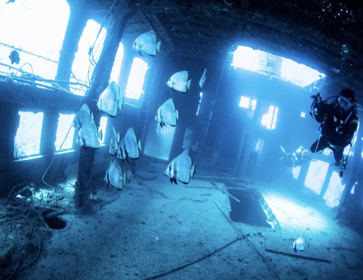 ダイビングYouTuber Tottyのお店！３ダイブ（魔王の宮殿など）BIGHOLIDAY（DB01）