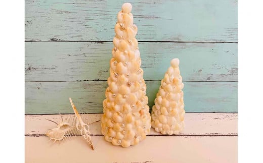 シェルツリーセット【B】