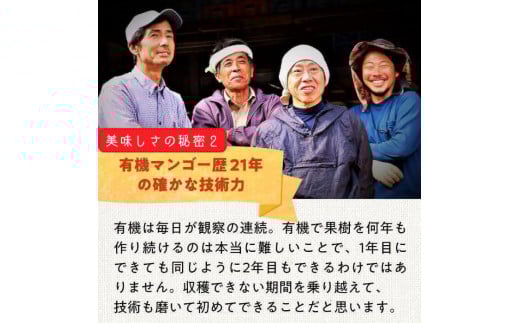 DQ018《先行予約》2026年発送 有機JAS認証マンゴー（アーウィン）ご自宅用 2kg【楽園の果実】