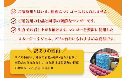 AI003　沖縄県宮古島・完熟マンゴー2kg【ご家庭用】ティダマンゴー宮古島農園