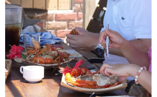 メディア出演多数！伊良部島産蟹蔵ブランドマングローブ蟹（調理済み）