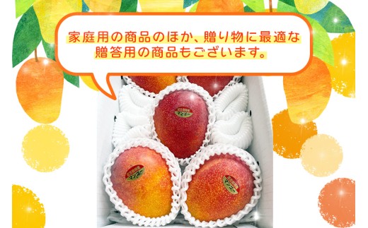 《先行予約 2026年発送》宮古島産マンゴー（2kg×定期便2回）【（株）フラモン】(JH004)