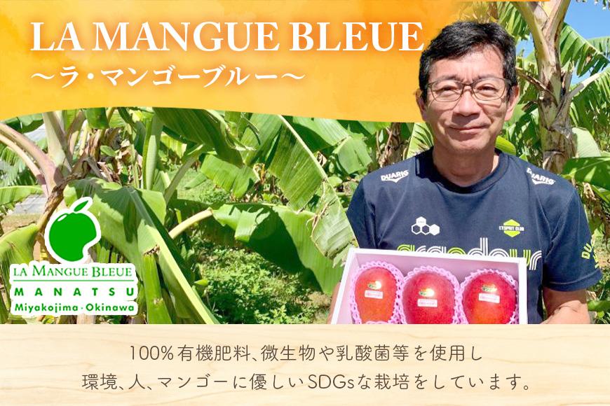 GZ003《先行予約2026年発送》宮古島産アーウィンマンゴー 約2kg（5～7個）【ご自宅用】「LA MANGUE BLEUE」農家直送