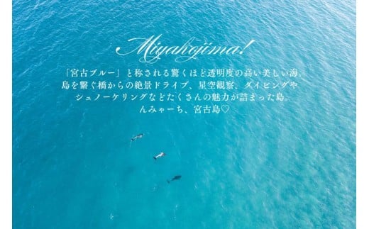 宮古島市に泊まるふるさと納税旅行クーポン【12,000円分】（NK04）