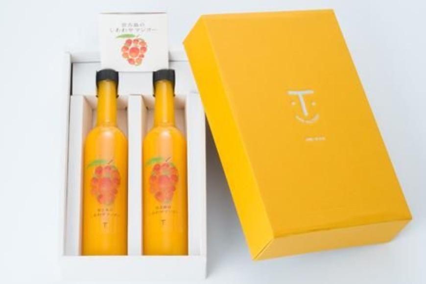 宮古島のしあわせマンゴー　大瓶２本セット【500ｇ×2本】(T114)