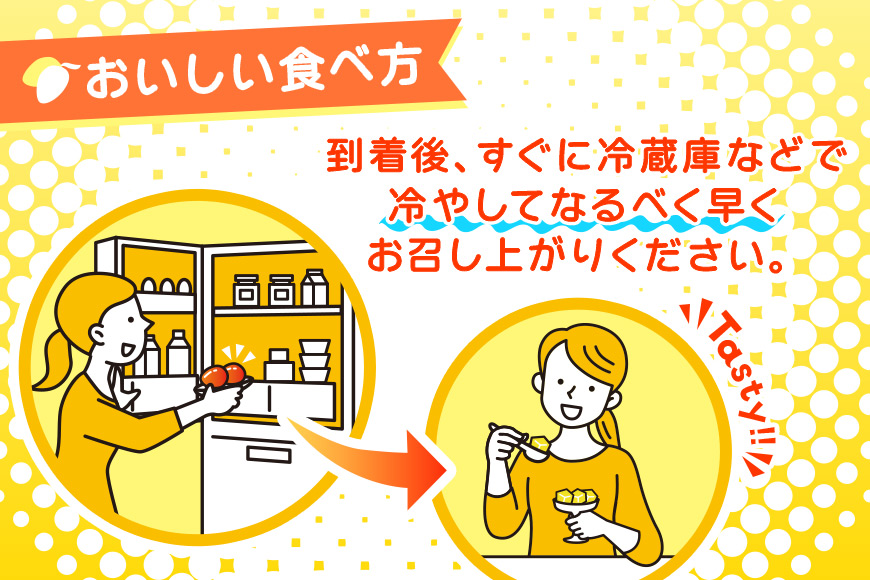 JH002《先行予約 2026年発送》宮古島産マンゴー２㎏【㈱フラモン】