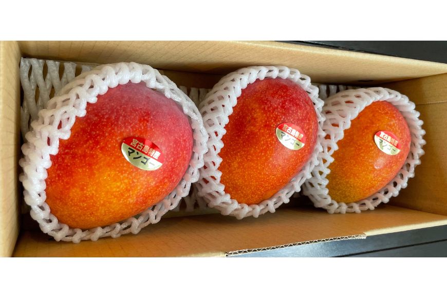 JH023　宮古島 旬の南国フルーツ 定期便【(株)フラモン】