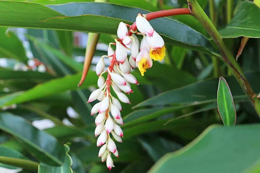 宮古島でリラクゼーション♪ 宮古島リラクゼーションUmiご利用券 （3,000円分）