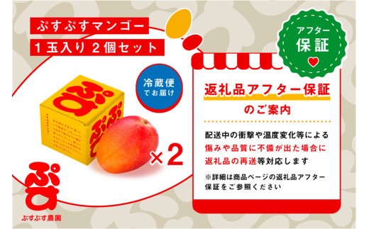 【ぷすぷす農園】＜2026年発送先行予約＞宮古島産完熟マンゴー1玉入り×2個セット（農園直送）（KY005）